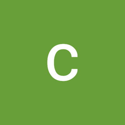 carlos
